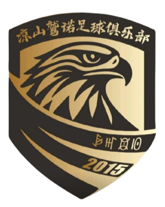 贵州飞鹰
